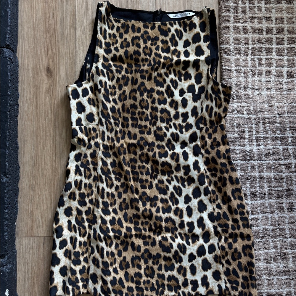 Zara A-Line Leopard Print Sleeveless Dress